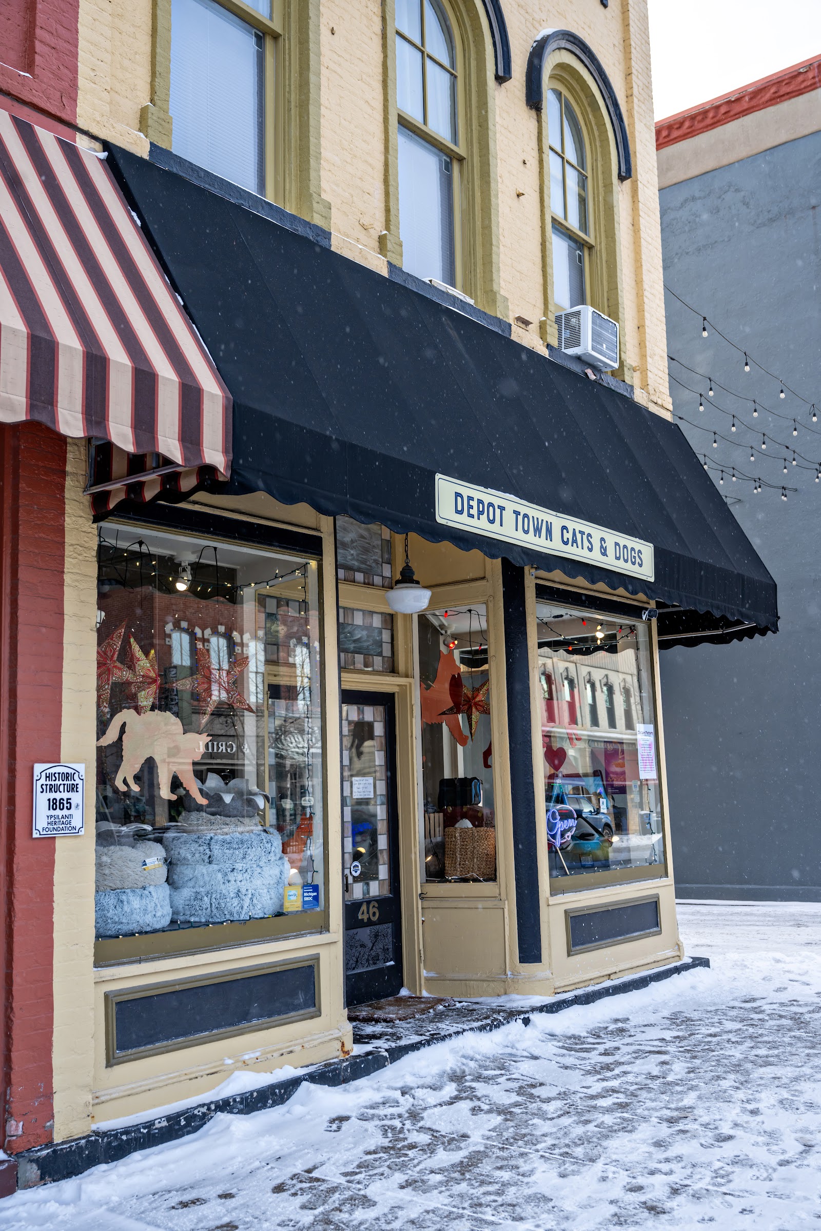 Depot Town Cats and Dogs in Ypsilanti
