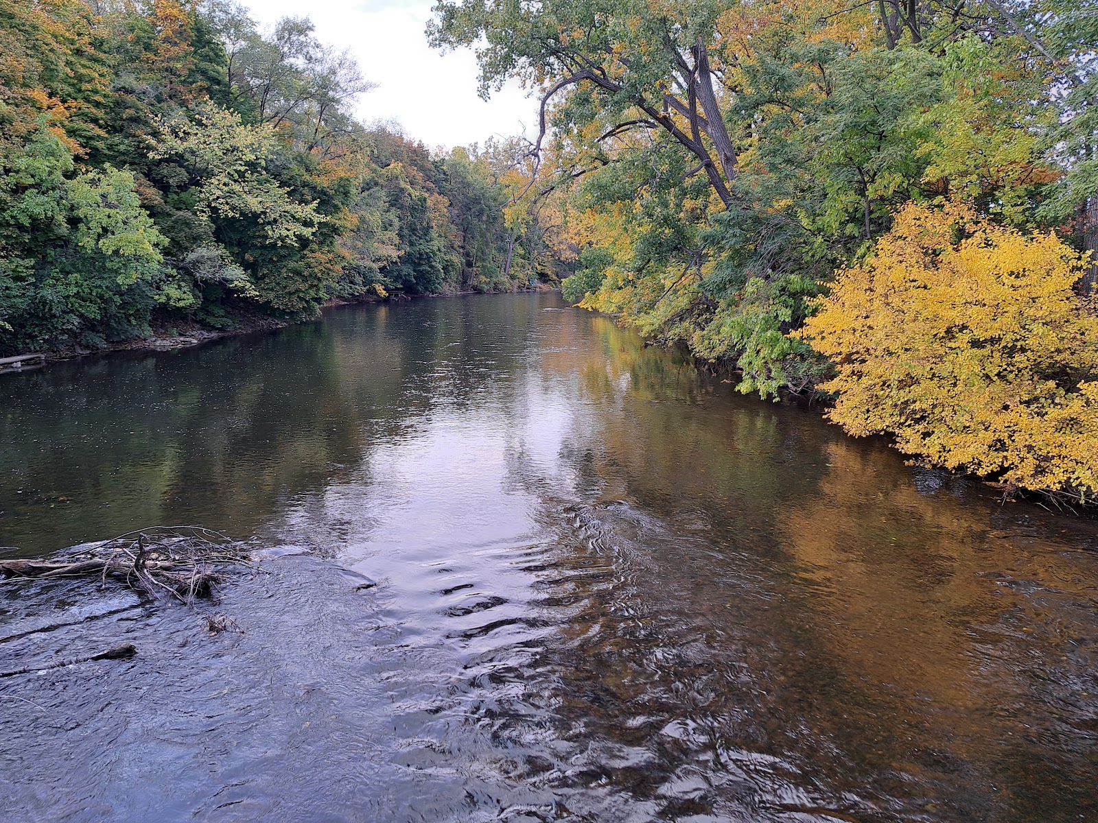 Frog Island Park in Ypsilanti