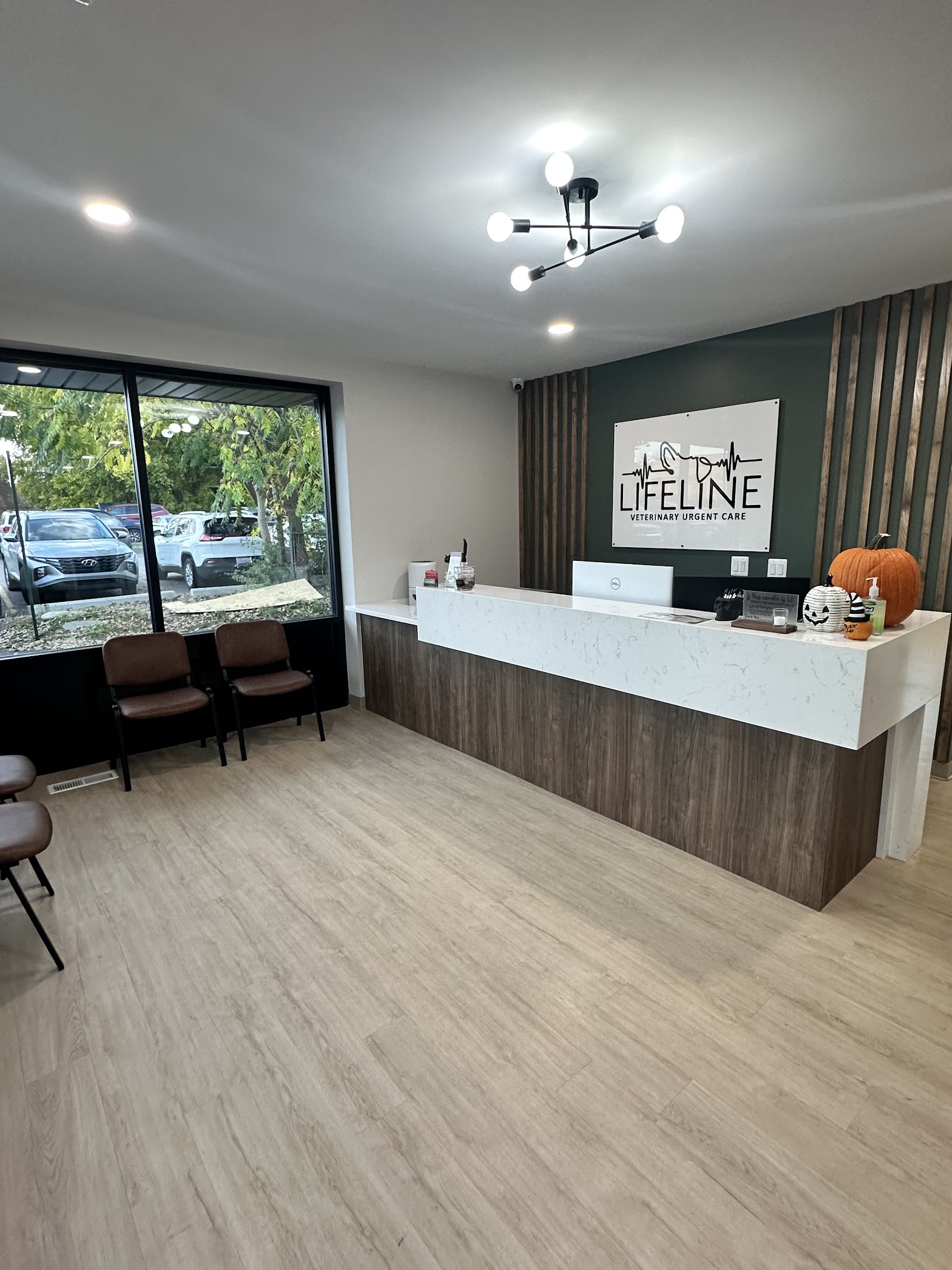 Lifeline Veterinary Urgent Care — photo
