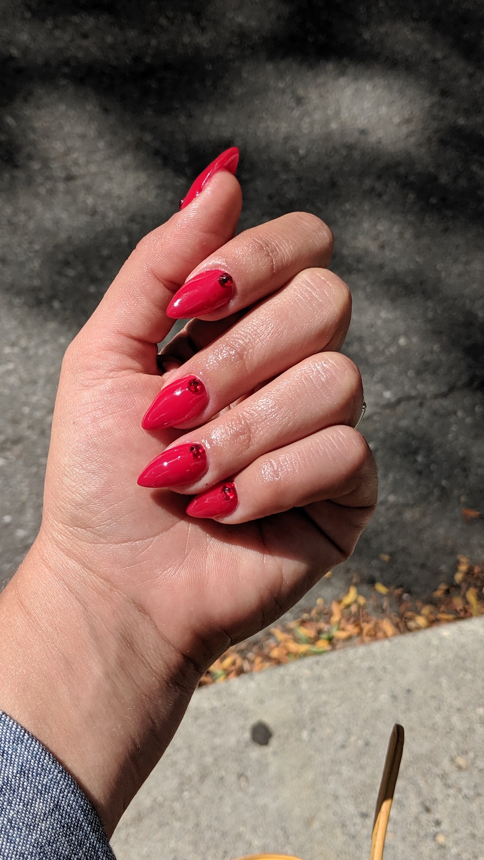 Salon Elite 120 — photo