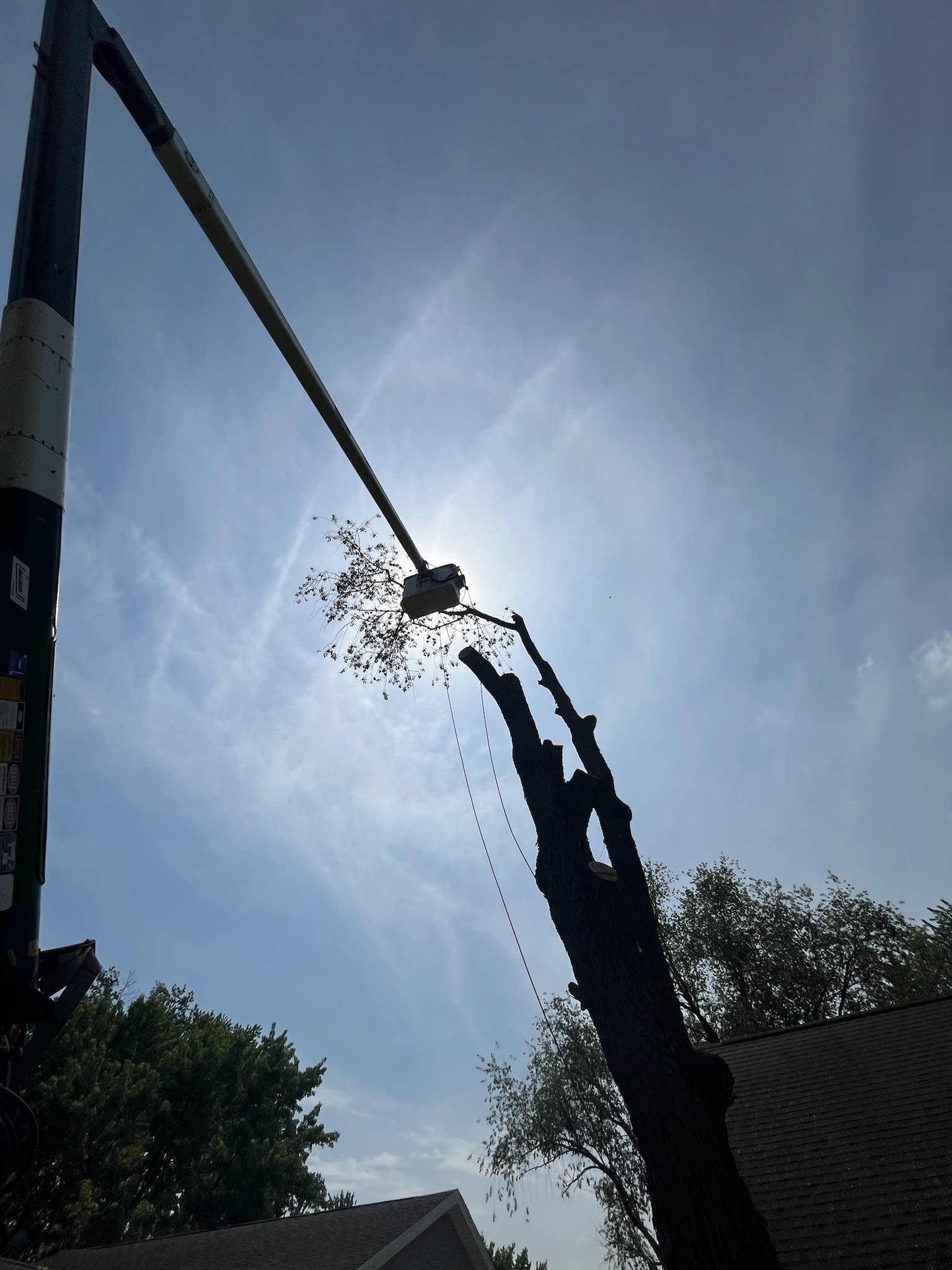 TK'S Gardening and Tree Service — photo